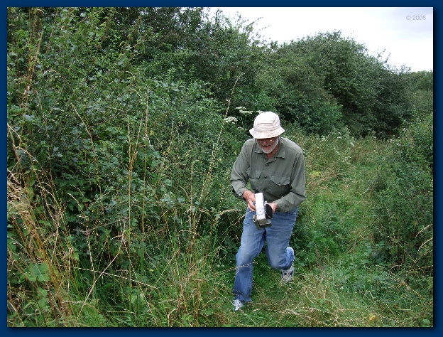 600x449 pixels (208K)